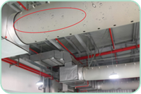 尊龙官方网站 - (中国区)首页