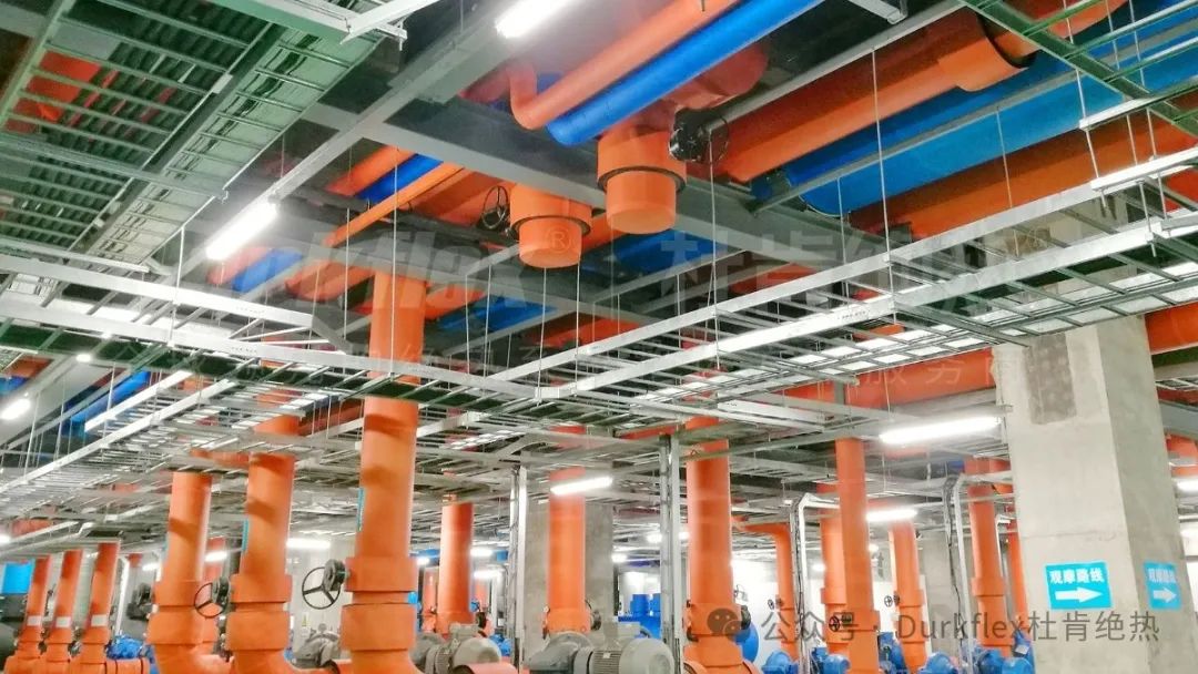 尊龙官方网站 - (中国区)首页